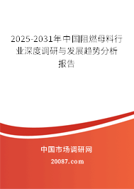 2025-2031年中国阻燃母料行业深度调研与发展趋势分析报告 2025-2031年中国阻燃母料行业深度调研与发展趋势分析报告