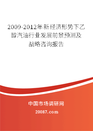 2009-2012年新经济形势下乙醇汽油行业发展前景预测及战略咨询报告