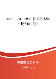 2009－2012年中国磁性材料市场预测报告