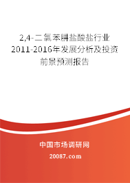 2,4-二氯苯肼盐酸盐行业2011-2016年发展分析及投资前景预测报告 2,4-二氯苯肼盐酸盐行业2011-2016年发展分析及投资前景预测报告