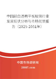中国超白透明平板玻璃行业发展现状分析与市场前景报告（2025-2031年）