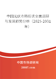 中国光伏市场现状全面调研与发展趋势分析（2025-2031年）