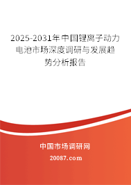 2025-2031年中国锂离子动力电池市场深度调研与发展趋势分析报告