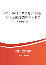2025-2031年中国两极电源插头行业发展调研与前景趋势分析报告