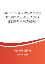 2025-2031年全球与中国亲水性气相二氧化硅行业发展深度调研与未来趋势报告