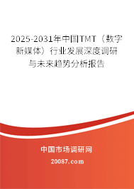 2025-2031年中国TMT(数字新媒体)行业发展深度调研与未来趋势分析报告 2025-2031年中国TMT(数字新媒体)行业发展深度调研与未来趋势分析报告