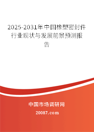 2025-2031年中国橡塑密封件行业现状与发展前景预测报告