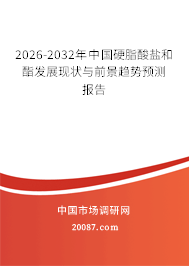 2026-2032年中国硬脂酸盐和酯发展现状与前景趋势预测报告 2026-2032年中国硬脂酸盐和酯发展现状与前景趋势预测报告