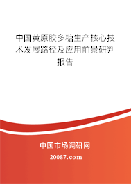 中国黄原胶多糖生产核心技术发展路径及应用前景研判报告