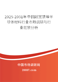 2025-2031年中国超宽禁带半导体材料行业市场调研与行业前景分析 2025-2031年中国超宽禁带半导体材料行业市场调研与行业前景分析