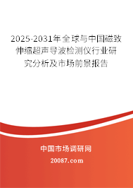 2025-2031年全球与中国磁致伸缩超声导波检测仪行业研究分析及市场前景报告