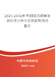 2025-2031年中国蛋白磁珠发展现状分析与前景趋势预测报告