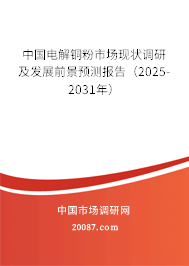 中国电解铜粉市场现状调研及发展前景预测报告（2025-2031年）