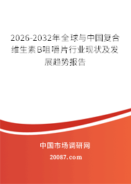 2026-2032年全球与中国复合维生素B咀嚼片行业现状及发展趋势报告