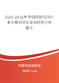 2025-2031年中国管理咨询行业全面调研及发展趋势分析报告 2025-2031年中国管理咨询行业全面调研及发展趋势分析报告