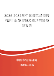 2026-2032年中国聚乙烯亚胺PEI行业发展研及市场前景预测报告
