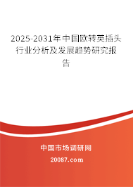 2025-2031年中国欧转英插头行业分析及发展趋势研究报告
