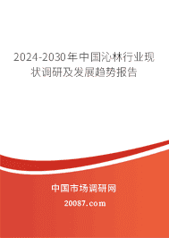 2023-2029���й�������ҵ��״���м���չ���Ʊ���