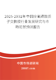 2025-2031年中国全氟磺酸质子交换膜行业发展研究与市场前景预测报告