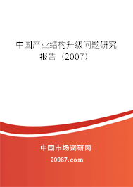 中国产业结构升级问题研究报告（2007）