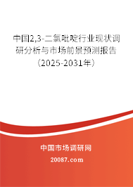 中国2,3-二氯吡啶行业现状调研分析与市场前景预测报告（2025-2031年）