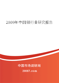 2009年中国镁行业研究报告