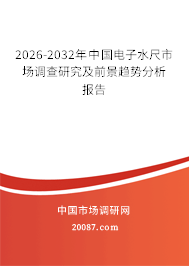 2026-2032年中国电子水尺市场调查研究及前景趋势分析报告