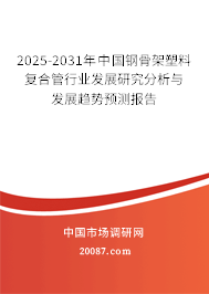 2025-2031年中国钢骨架塑料复合管行业发展研究分析与发展趋势预测报告 2025-2031年中国钢骨架塑料复合管行业发展研究分析与发展趋势预测报告