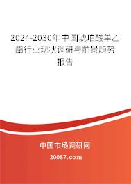 2024-2030年中国琥珀酸单乙酯行业现状调研与前景趋势报告