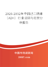 2026-2032年中国己二酰肼（ADH）行业调研与前景分析报告