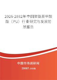 2026-2032年中国聚氨基甲酸酯(PU)行业研究与发展前景报告 2026-2032年中国聚氨基甲酸酯(PU)行业研究与发展前景报告