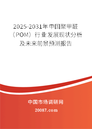 2025-2031年中国聚甲醛(POM)行业发展现状分析及未来前景预测报告 2025-2031年中国聚甲醛(POM)行业发展现状分析及未来前景预测报告