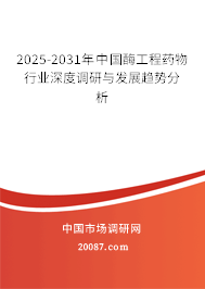 2025-2031年中国酶工程药物行业深度调研与发展趋势分析