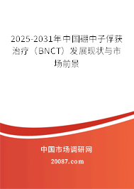 2025-2031年中国硼中子俘获治疗（BNCT）发展现状与市场前景