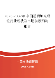 2026-2032年中国透明填充母粒行业现状及市场前景预测报告