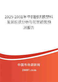 2025-2031年中国团状模塑料发展现状分析与前景趋势预测报告