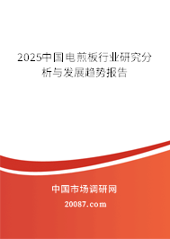 2025中国电煎板行业研究分析与发展趋势报告 2025中国电煎板行业研究分析与发展趋势报告