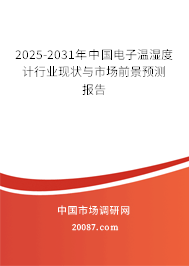 2025-2031年中国电子温湿度计行业现状与市场前景预测报告