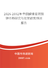 2026-2032年中国偏重亚硫酸钾市场研究与前景趋势预测报告