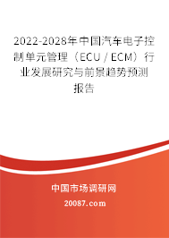 2022-2028年中国汽车电子控制单元管理（ECU / ECM）行业发展研究与前景趋势预测报告
