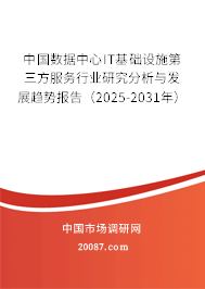 中国数据中心IT基础设施第三方服务行业研究分析与发展趋势报告（2025-2031年）