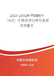 2025-2031年中国网卡(NIC)市场现状分析与发展前景报告 2025-2031年中国网卡(NIC)市场现状分析与发展前景报告