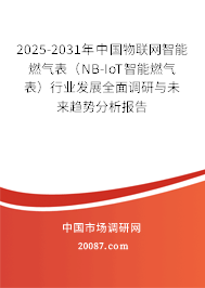 2025-2031年中国物联网智能燃气表(NB-IoT智能燃气表)行业发展全面调研与未来趋势分析报告 2025-2031年中国物联网智能燃气表(NB-IoT智能燃气表)行业发展全面调研与未来趋势分析报告