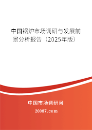 中国锅炉市场调研与发展前景分析报告（2025年版）
