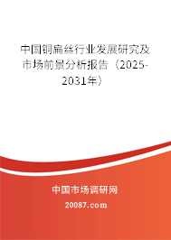 中国铜扁丝行业发展研究及市场前景分析报告（2025-2031年）