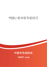 中国小麦供需专题研究