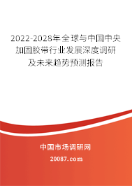 2022-2028年全球与中国中央加固胶带行业发展深度调研及未来趋势预测报告