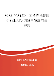 2025-2031年中国资产托管服务行业现状调研与发展前景报告