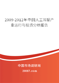 2009-2012年中国人工耳蜗产业运行与投资分析报告