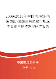 2009-2013年中国丙烯酸-丙烯酸酯-磺酸盐共聚物市场深度调查与投资发展研究报告